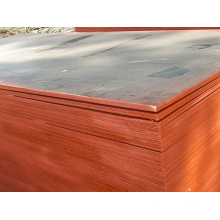Gebrauchte Sperrholzplatten Pappelkern für Beton Nutzungen